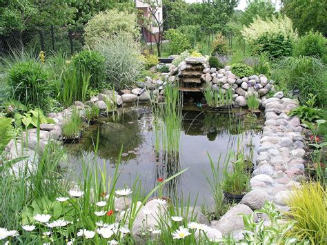 Water Gardens: Everything You Need to Know