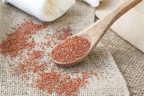 Garden cress seeds stock image. Image of benefit, dietary - 49599705