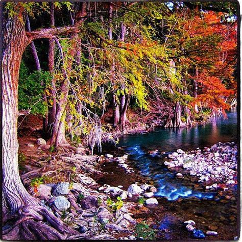 Gruene River in Texas | Texas adventure, Guadalupe river, Beautiful places to visit