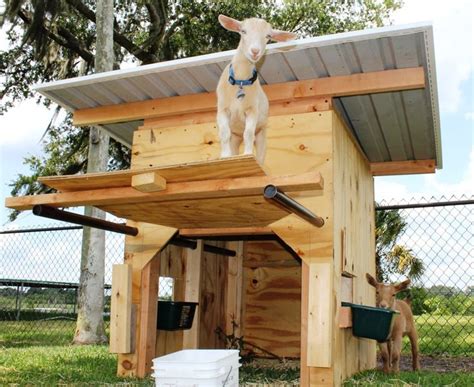 Farmcradle International Inc. | 15 Goat’s Playground Ideas For Your Farm | Goat house, Goat ...