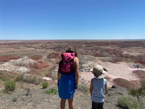 5 Best Hikes in Petrified Forest National Park for Families