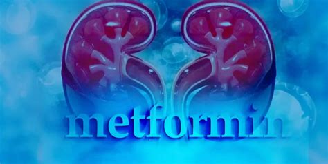 Metformin and Kidney Damage: A Comprehensive Guide | by KSTforKidney ...