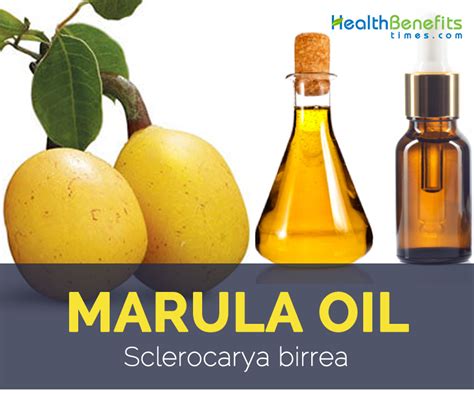 Marula oil facts and health benefits