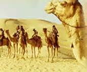 Rajasthan Desert Triangle, Desert Tours India, Camel Safari Tours ...