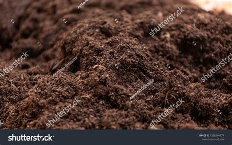 33,733 Humus Soil Images, Stock Photos & Vectors | Shutterstock