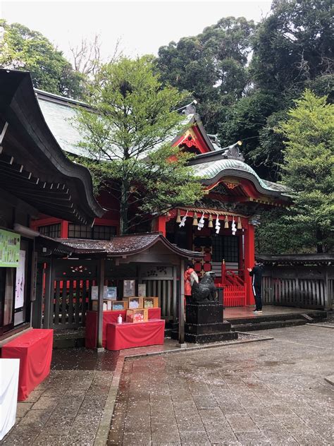 Enoshima Shrine | FatherSonBirding