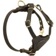 Get Small Adjustable Leather Dog Harness for Puppies and Small Dogs