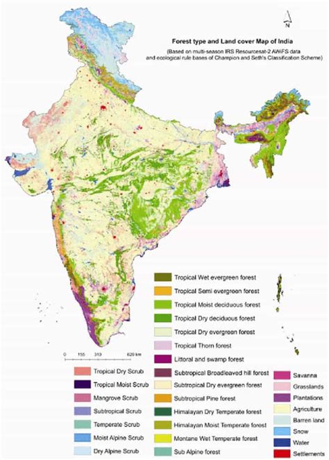 The Famous And Essential Names Of Forests In India