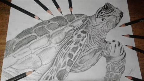 Dibujando una TORTUGA MARINA Realista | Drawing a Realistic SEA TURTLE - YouTube