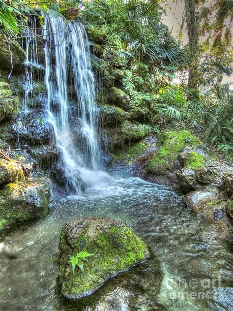 Rainbow Springs Waterfall Photograph by Myrna Bradshaw - Fine Art America