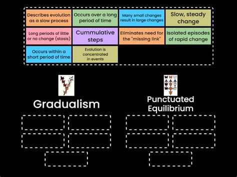 Gradualism vs Punctuated Equilibrium - Group sort