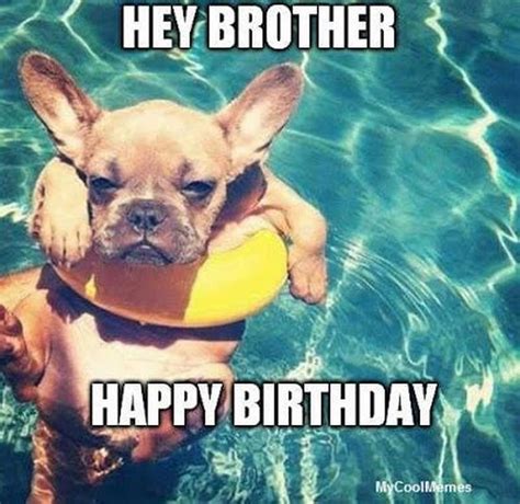 101 Funny Happy Birthday Dog Memes for Paw Lovers Everywhere Dog Birthday Quotes, Happy Birthday ...