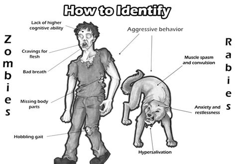 Humans With Rabies Symptoms