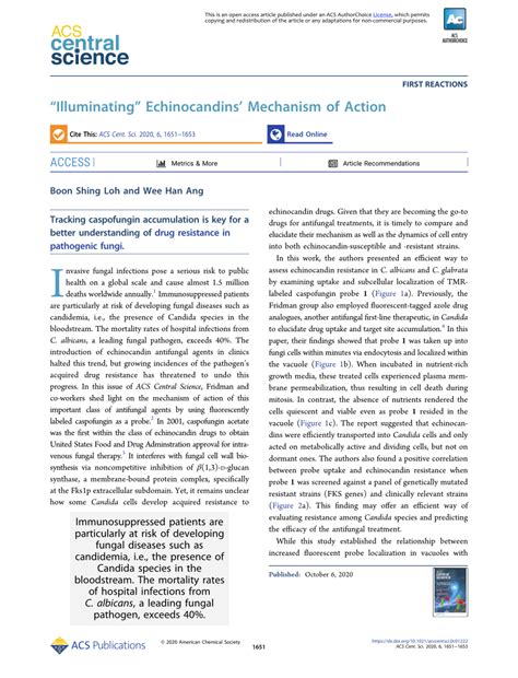 (PDF) “Illuminating” Echinocandins’ Mechanism of Action