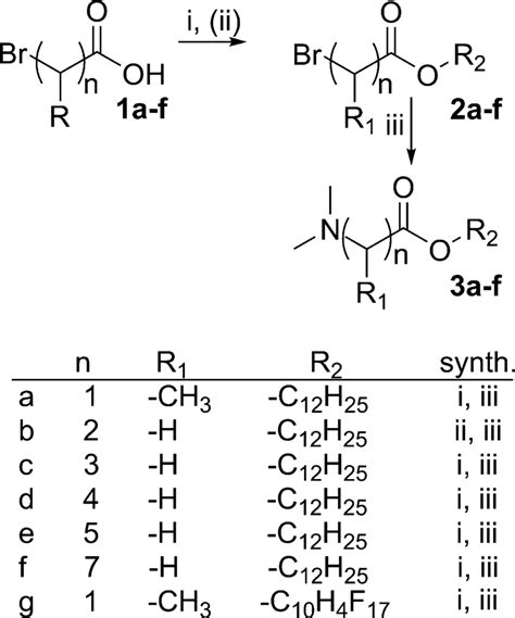 Synthesis of N,N-dimethylamino acid esters. Reagents and conditions: i... | Download Scientific ...