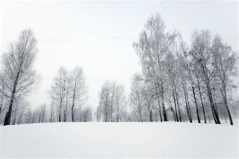 park in winter 9411514 Stock Photo at Vecteezy