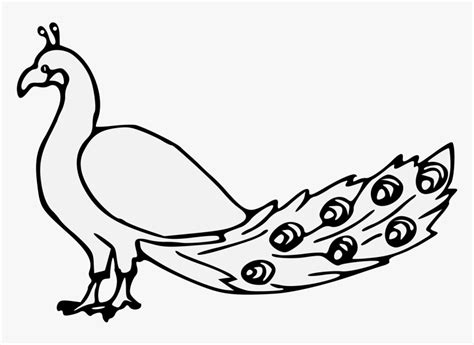 Peacock - Peacock Line Drawing, HD Png Download , Transparent Png Image ...