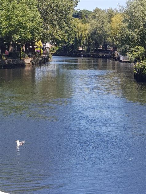 Pauline Barclay : A Meander Along the River Wensum