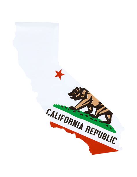 California Bear State Sticker - WHTCO | Tillys