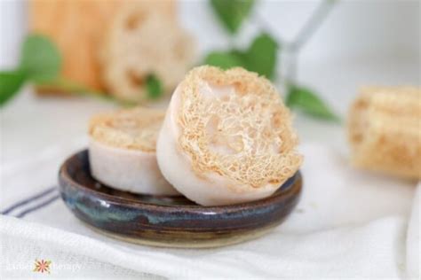 Exfoliate with Homemade Loofah Soap (Made from a Vegetable!) - Garden Therapy