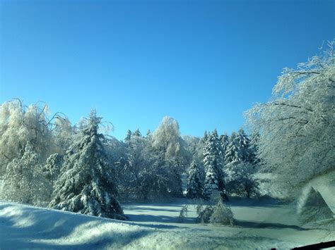 Ice storm Caledon Ontario 2013 Ice Storm, Caledon, Tis The Season, Ontario, Wonder, Seasons ...