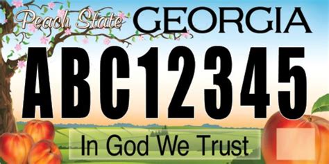 Vote for Design of New Georgia License Plates | Johns Creek, GA Patch