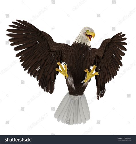 Bald Eagle Attack Stock Photo 90878954 : Shutterstock