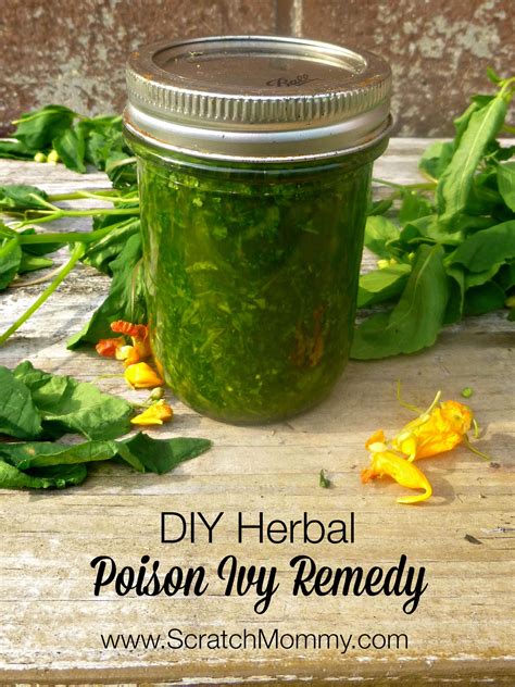 An Herbal DIY Poison Ivy Remedy | Pronounce | Scratch Mommy