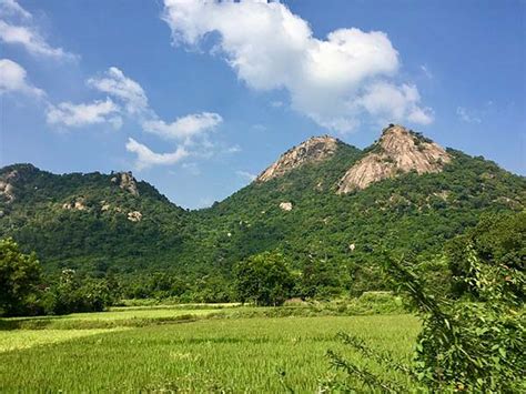 Ajodhya Hills – A Beautiful Shadow Of Chota Nagpur Plateau - Nativeplanet