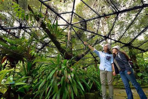 Kinabalu National Park Tour with Poring Hot Springs 2024 - Kota Kinabalu