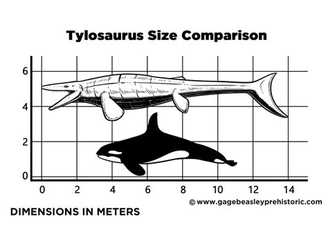 An Ultimate Guide to Tylosaurus: The Lump Lizard