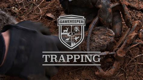 Trapping | How to Trap Bobcats - YouTube