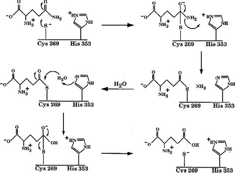 Carbamoyl phosphate synthetase | Semantic Scholar