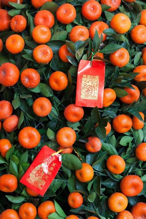 Why Mandarin Orange or Kumquat Trees | Chinese New Year