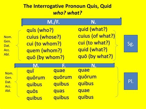 Latin Interrogative Pronouns Chart