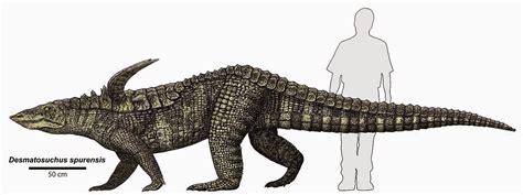 Natural Selections: Triassic Thursday II: Aetosaurs