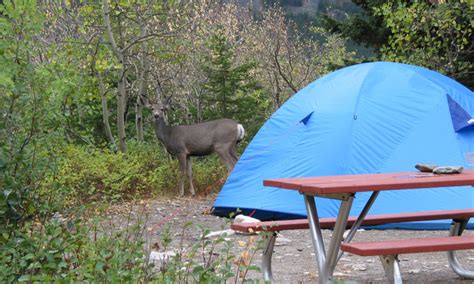 Breckenridge Colorado Campgrounds - AllTrips