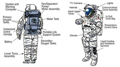 Spacesuit diagram -- Living and Working in Space AHG Badge Space Science, Science For Kids ...