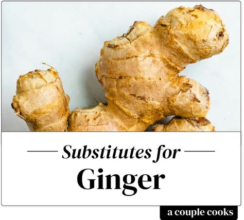 Best Ginger Substitute – A Couple Cooks