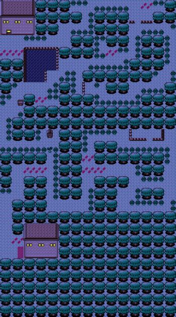 Mods/Silver's Soul/Ilex Forest - Pokémon 3D Wiki