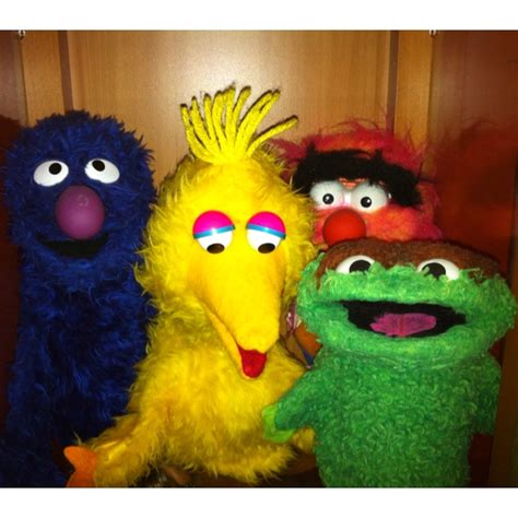 Sesame Street vintage puppets | Muppets, Sesame street, Puppets