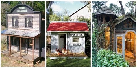 Best Chicken Coop Designs - Most Amazing Chicken Coops