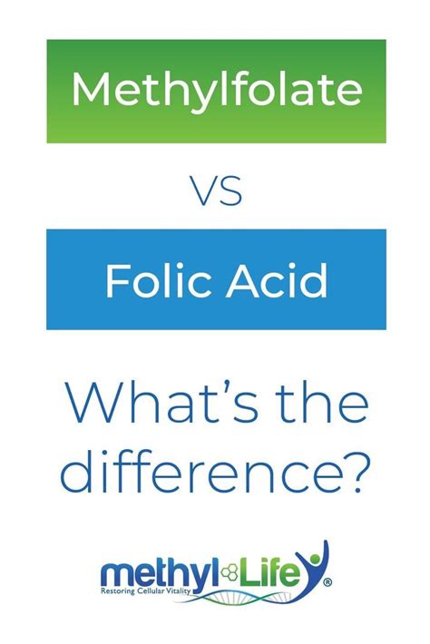 If you have an MTHFR mutation, folic acid is actually a bad thing for ...