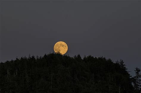 Blue Moon Rising Photograph by Bob Corson - Fine Art America