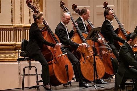 Vienna Philharmonic Orchestra calms crowds following terrorist attacks ...