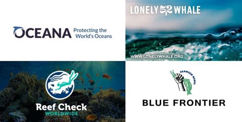 30 Ocean Conservation Organizations fighting to Save Marine Biodiversity