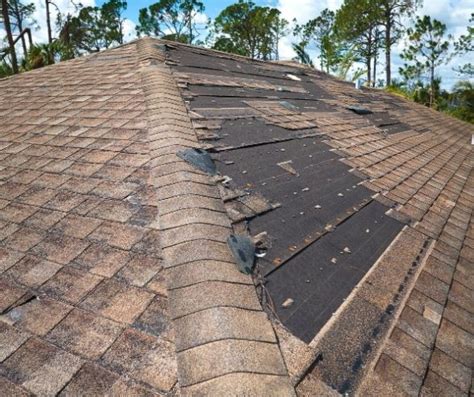 The Pros and Cons of Shingles vs Metal Roofs - Aapex Construction and Restoration LLC