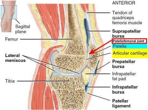 Patellofemoral Pain Syndrome - Causes, Symptoms, Treatment