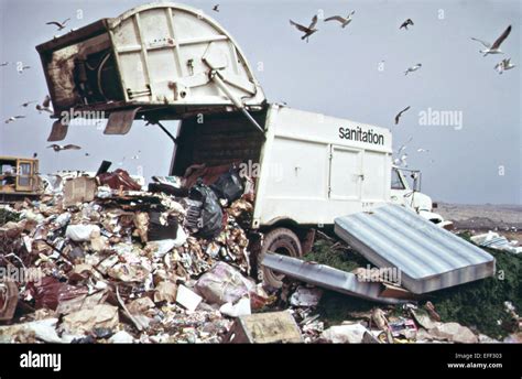 A garbage truck dumps trash in a landfill along the marshlands of Stock Photo, Royalty Free ...