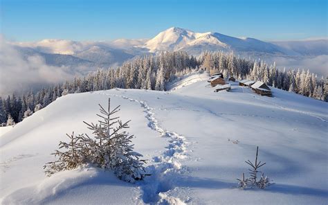 Fondos de Pantalla 3840x2400 Invierno Fotografía De Paisaje Montañas Bosques Casa Nieve ...